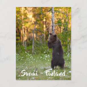 Cartão Postal Cartaz natural finlandês/finlandês