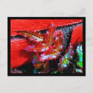 Cartão Postal Cartaz-Natureza-Arte da Chuva 32