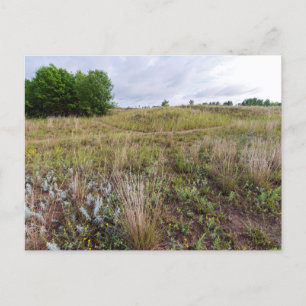 Cartão Postal Cartaz paisagístico das dunas de nuvem de cinza