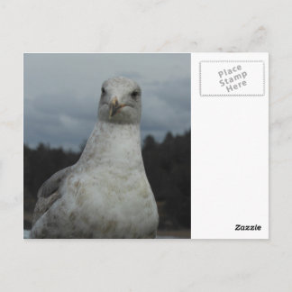 Cartão Postal Cartaz-postal