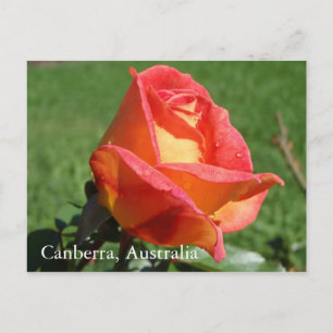 Cartão Postal Cartaz postal da Austrália