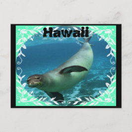 Cartão Postal Cartaz-postal do monge havaiano