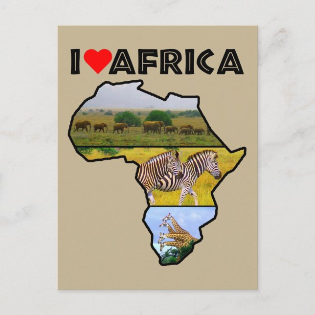 Cartão Postal Cartaz sobre Colagem de Vida Selvagem na África (Frente)