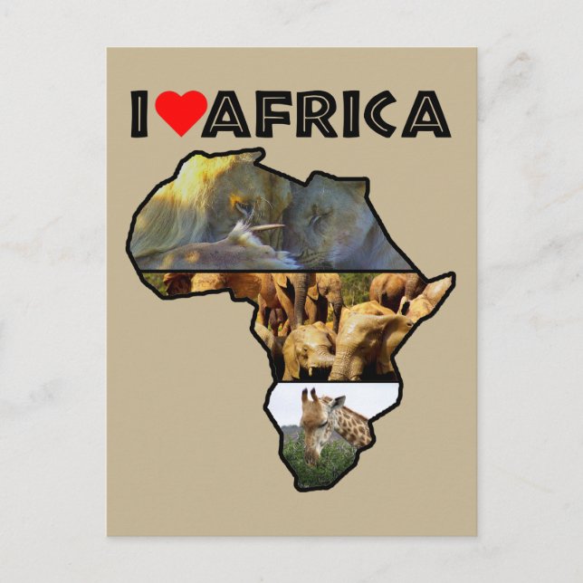 Cartão Postal Cartaz sobre Colagem de Vida Selvagem na África (Frente)