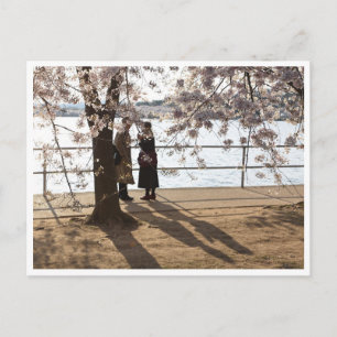 Cartão Postal Cartaz "Sombras sob a cerejeira"