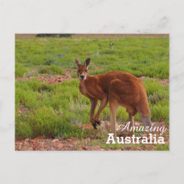 Cartão Postal Cartaz surpreendente na Austrália