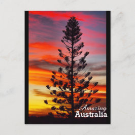 Cartão Postal Cartaz surpreendente na Austrália