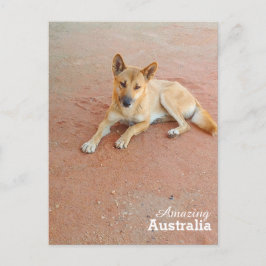 Cartão Postal Cartaz surpreendente na Austrália