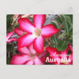 Cartão Postal Cartaz surpreendente na Austrália