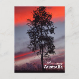 Cartão Postal Cartaz surpreendente na Austrália
