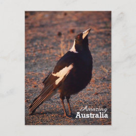 Cartão Postal Cartaz surpreendente na Austrália