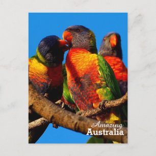 Cartão Postal Cartaz surpreendente na Austrália