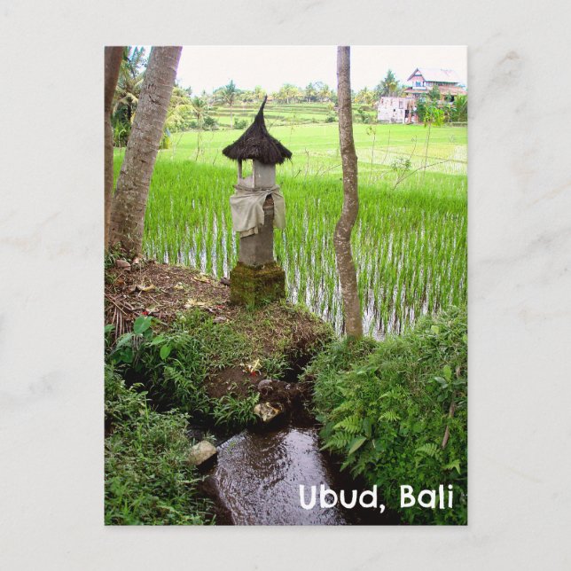 Cartão Postal Cartaz Ubud Bali, Indonésia, campo de arroz Temple (Frente)