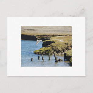 Cartão Postal Cartazes de Voo