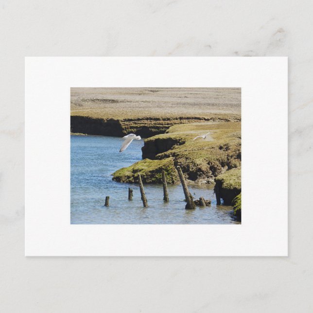 Cartão Postal Cartazes de Voo (Frente)