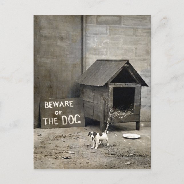 Cartão Postal Cartazes Engraçados (Frente)