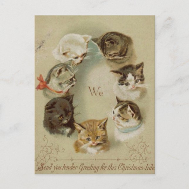 Cartão Postal Carte de voeux Noël chats (Frente)