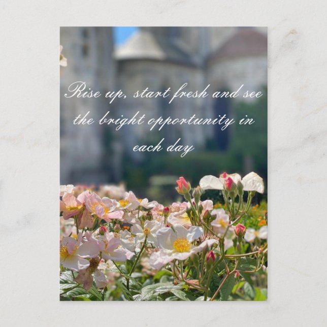 Cartão Postal Carte postale (Frente)