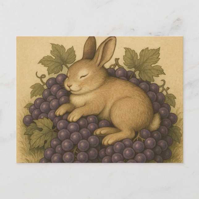 Cartão Postal Carte postale (Frente)