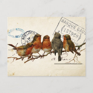 Cartão Postal Carte Postale Bird Set 3 de 4 (Robins europeus)