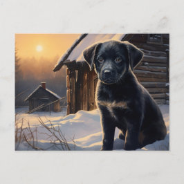 Cartão Postal Carte postale Chien 5-0