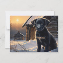 Carte postale Chien 5-0