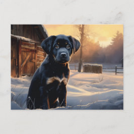 Cartão Postal Carte postale Chien 5-3