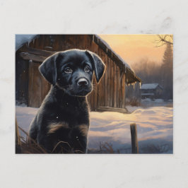 Cartão Postal Carte postale Chien 5-8