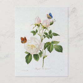 Cartão Postal Carte Postale Fleurs 18