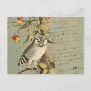 Cartão Postal Carte postale hibou