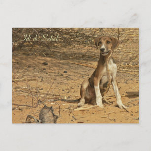 Cartão Postal Carte postale Idi du Sahel