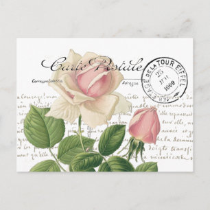 Cartão Postal Carte Postale Pink Rose French Script Vintage