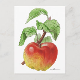 Cartão Postal Carte postale " Pomme Jeanne Hardy "