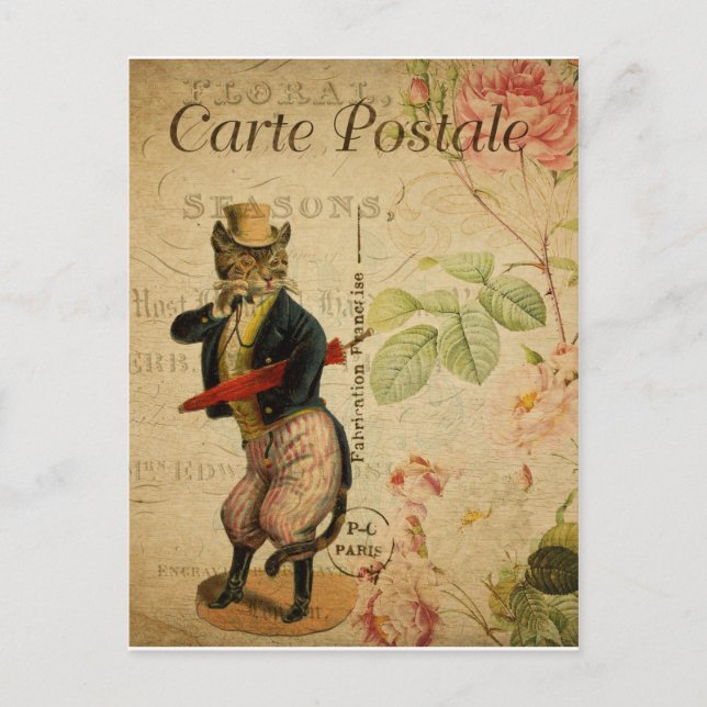 Cartão Postal Carte Postale. Vintage Cat. (Frente)