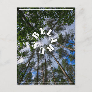 Cartão Postal Carteira postal da "Nature Landscape Look Forest B
