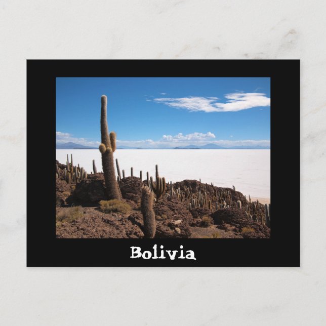 Cartão Postal Carteira postal de texto Cactus e Salar de Uyuni (Frente)