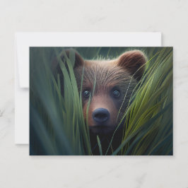 Cartão Postal Cartes Postales bear herbe