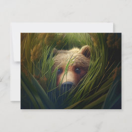 Cartão Postal Cartes Postales bear herbe
