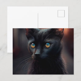 Cartão Postal Cartes Postales Black Cat
