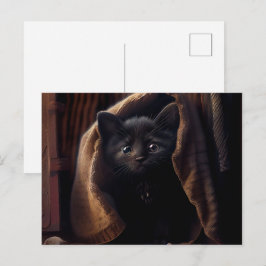 Cartão Postal Cartes Postales Black Cat