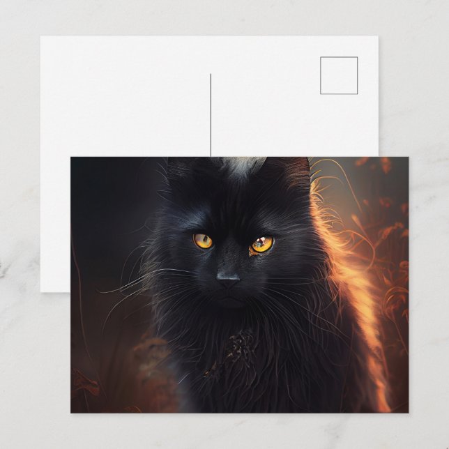 Cartão Postal Cartes Postales Black Cat (Frente/Verso)