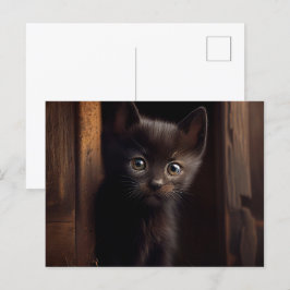 Cartão Postal Cartes Postales Black Cat