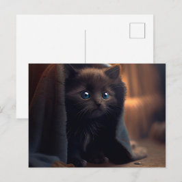 Cartão Postal Cartes Postales Black Cat