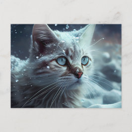Cartão Postal Cartes Postales Cat Divers