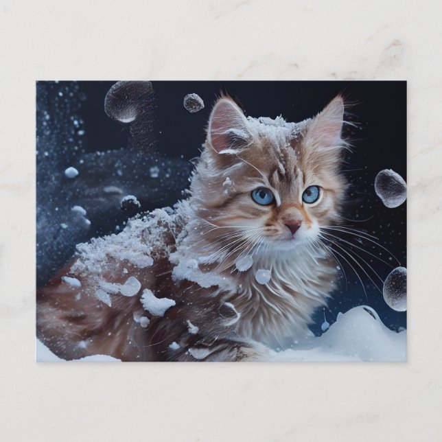 Cartão Postal Cartes Postales Cat Divers (Frente)