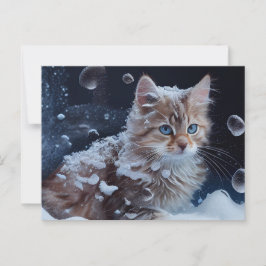 Cartão Postal Cartes Postales Cat Divers