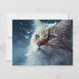 Cartão Postal Cartes Postales Cat Divers