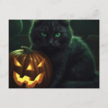 Cartes Postales Cat Halloween