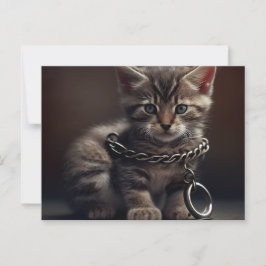 Cartão Postal Cartes Postales Cat prisoner