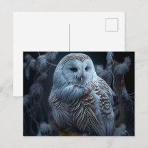 Cartes Postales snowy owl